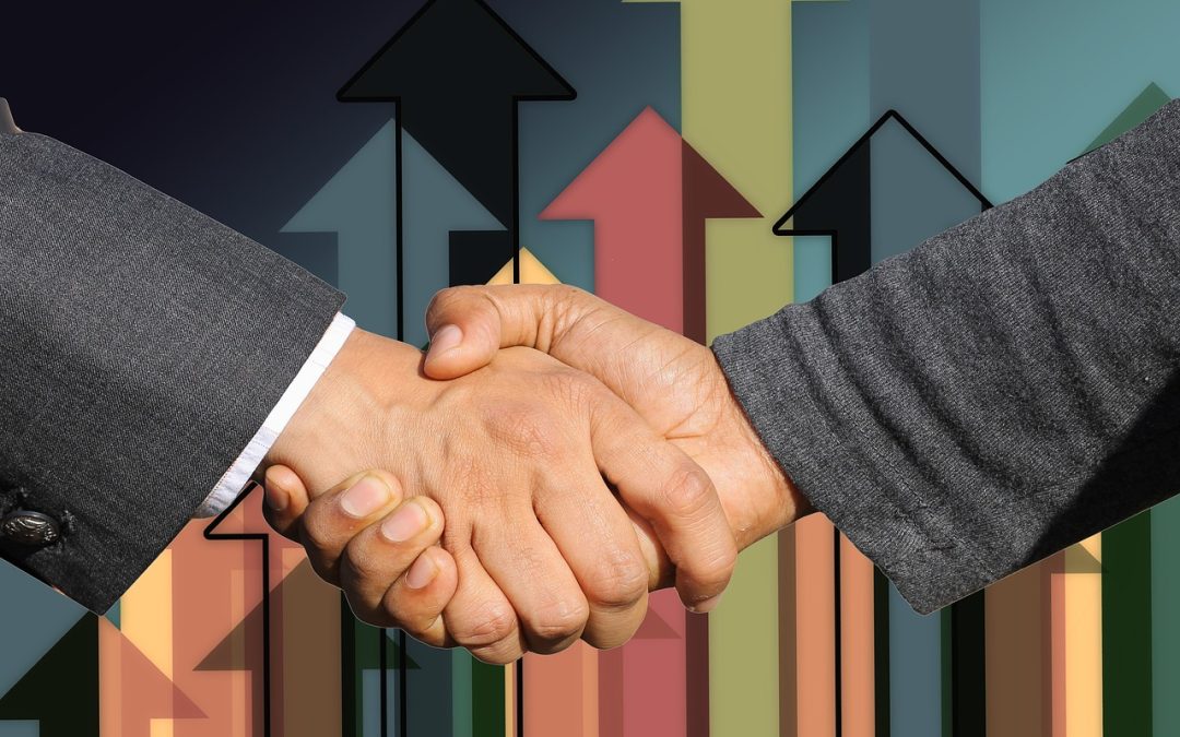 Compra Eficiente de Vehículos con Precinto